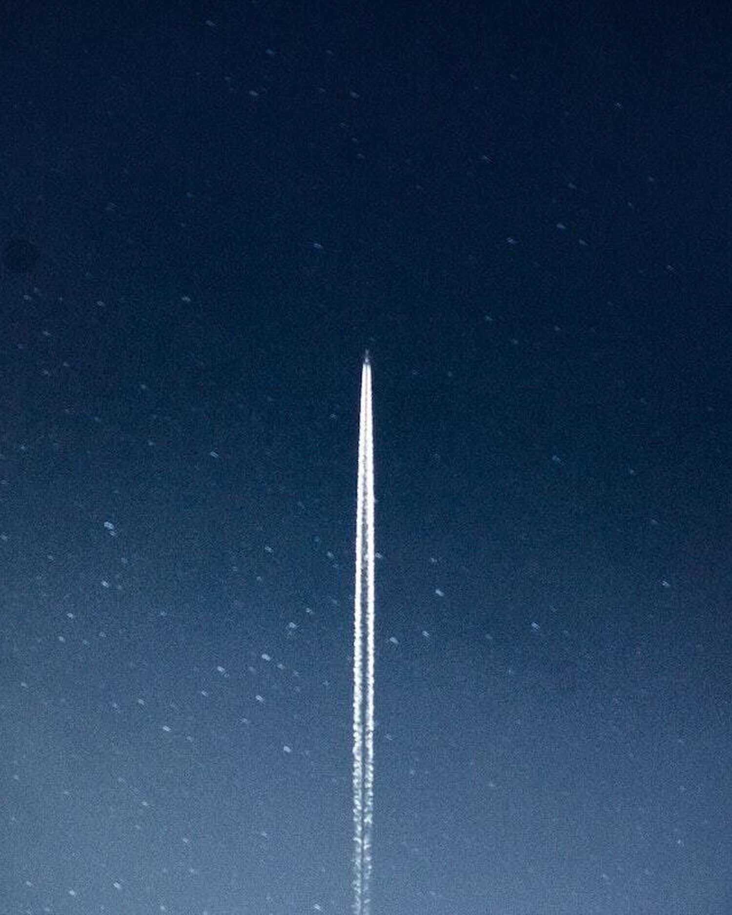 Pexels edvin richardson 796206 